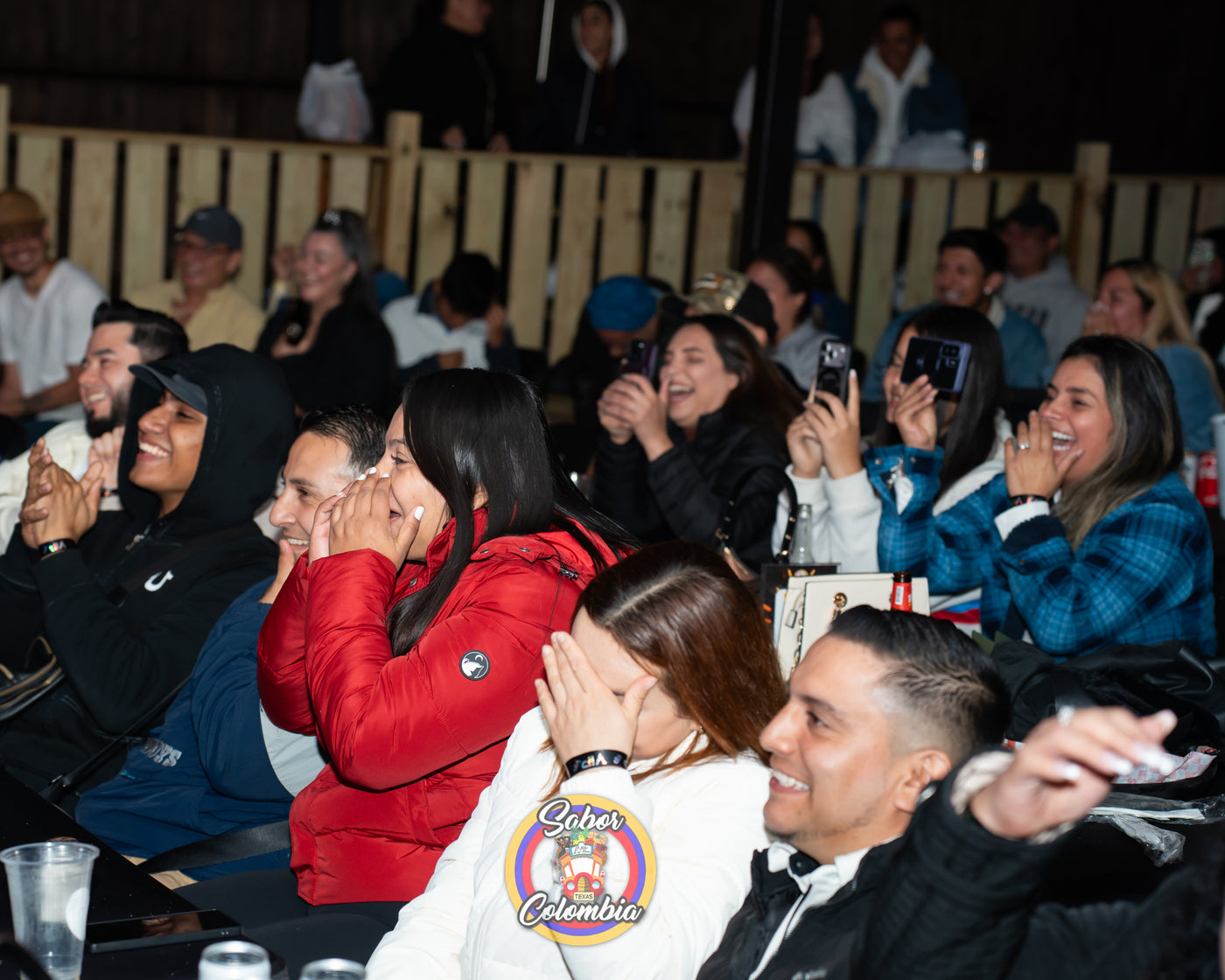 Crowd cheering during a live performance